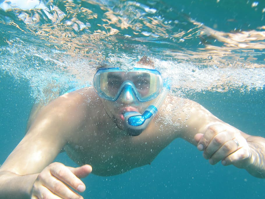 menyelam, snorkeling, laut, koh tao, bawah air, air, renang, olahraga, satu orang, olahraga air