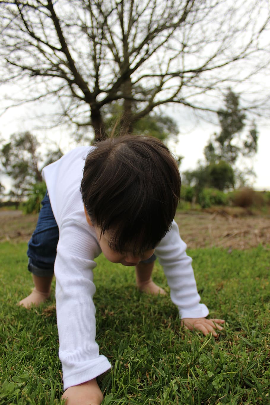 selective, focus photography, boy, crawling, ground, child, toddle, fun, grass, first steps