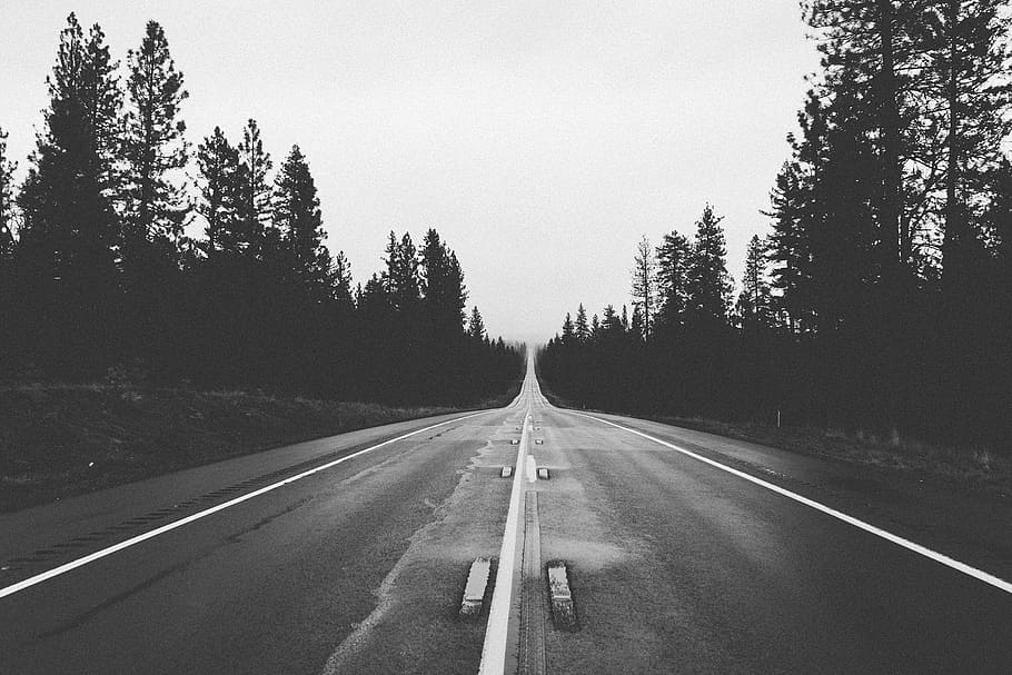 grayscale low-angle photography, road, trees, straight, future, way, forest, sad, lonely, loneliness