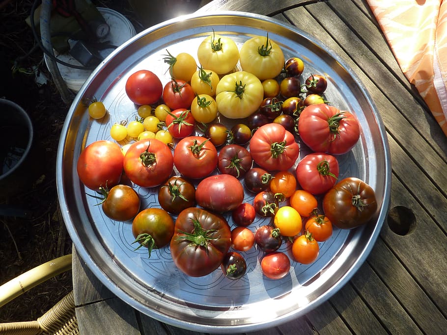 tomat, ingin, pusaka, panen, makanan, makanan dan minuman, buah, makanan sehat, kesegaran, kesejahteraan