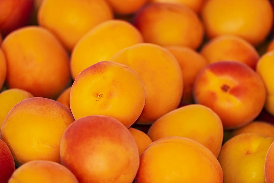buah kesemek, aprikot, buah, buah-buahan, manis, lezat, frisch, makanan, prunus armeniaca, persik