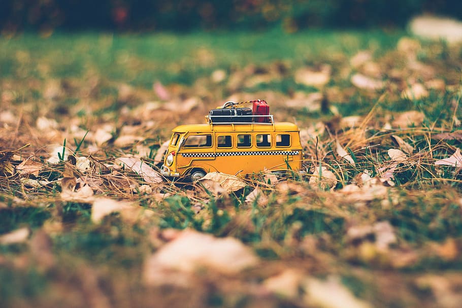yellow, bus scale model, bus, vehicle, toy, travel, blur, green, grass, leaf