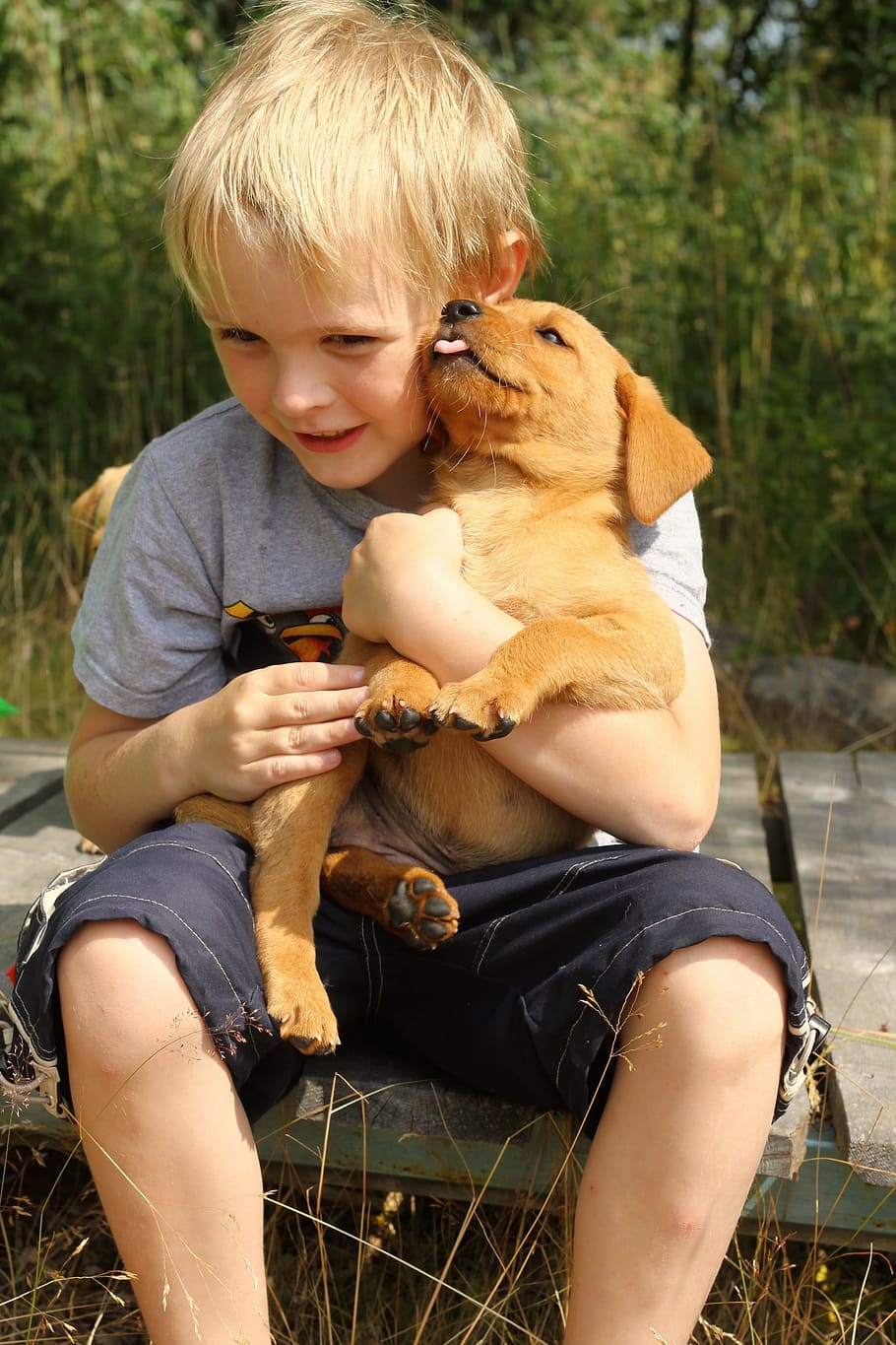 niño abraza perro, amigos, niño, abrazos, perro, niños holdin 'cachorro, niños, labrador, cachorro, verano