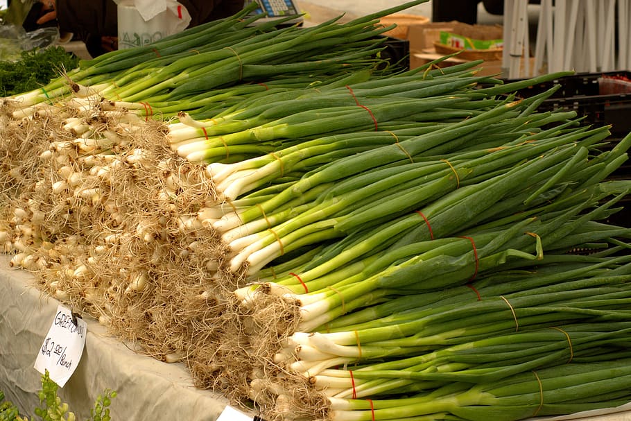 green onion bunches, harvested onions, fresh onions, vegetables, food, harvest, spring onion, market, farmers market, onion