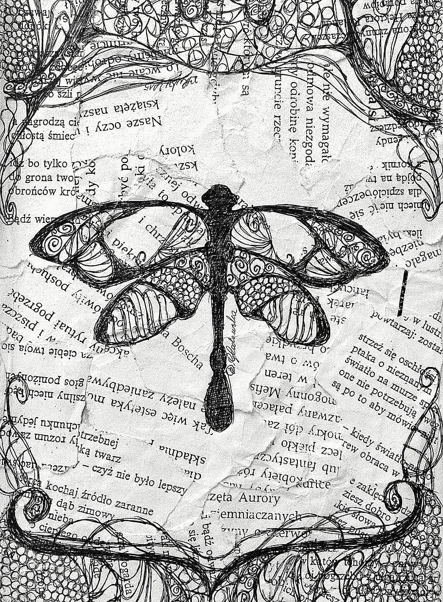 Dragonfly, Artistic, Paper, art, creative, music, map, sketch, newspaper, classical music