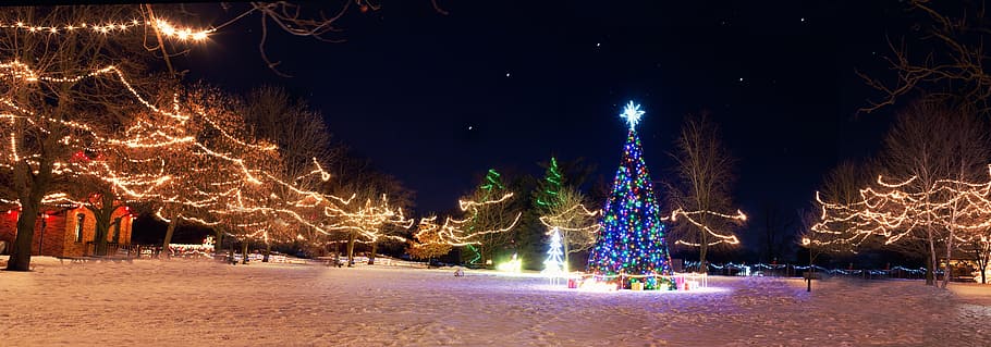 christmas-themed park, night, christmas town, xmas tree, winter, holiday, season, village, december, celebration