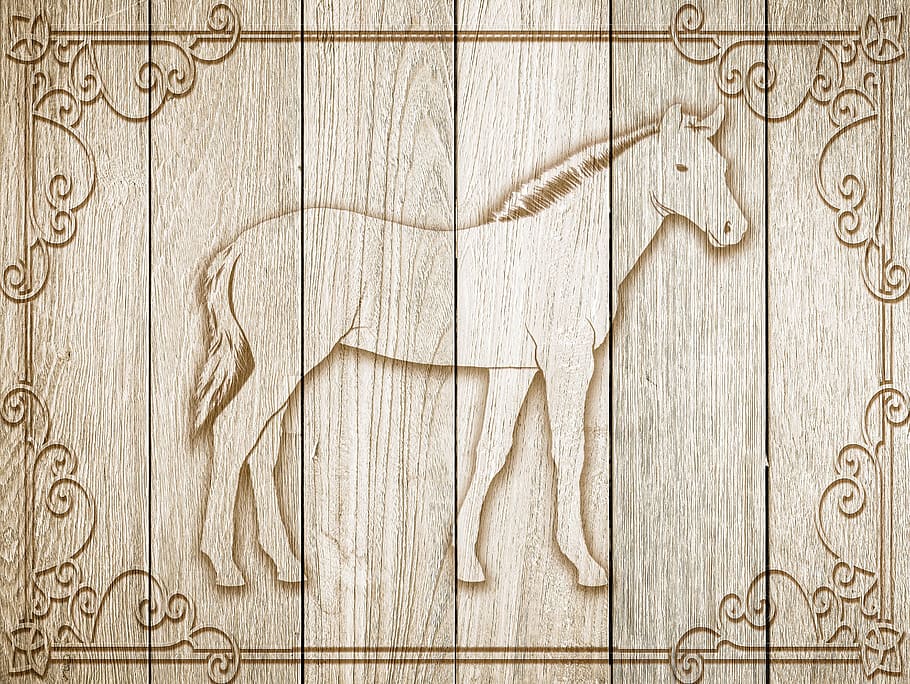 kuda, di kayu, bingkai, latar belakang, kayu, dekorasi, dinding kayu, main-main, kolase, papan dinding