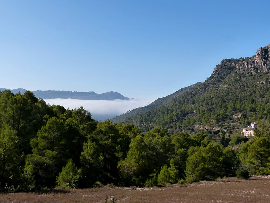 Montsant, Priorat, Landscape, roger more, clouds, fog, sea ​​fog, tree, forest, mountain