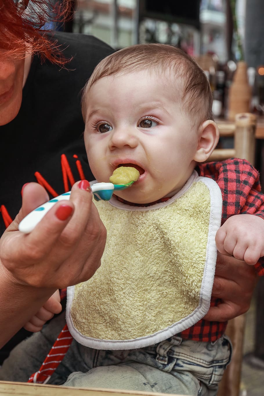 Baby Food Face-Off: Nestum vs. Cerelac - Healthy Habitat