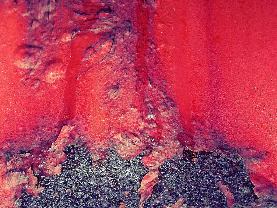pintura roja erupción, inoxidable, degradado, fondo, viejo, rojo oxidado, rojo, fondos, resumen, naturaleza