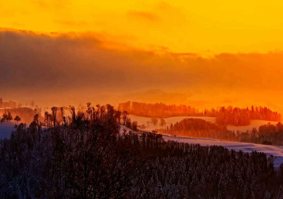 antena, foto, árboles, hora dorada, puesta de sol, naranja, cielo, planta, naturaleza, nieve