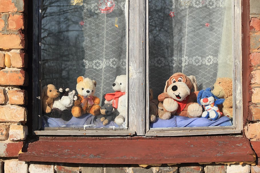 window, toys, animals, riga, latvia, representation, toy, stuffed toy, day, building exterior