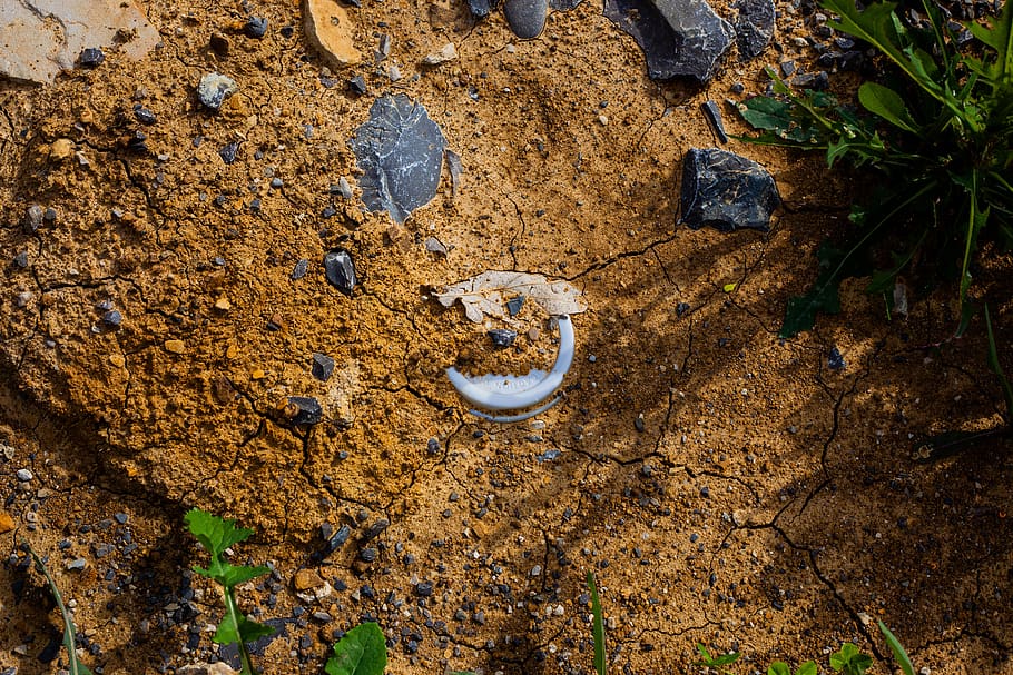 plastic in the ground, coffee mugs, coffee lid, ground, pollution, garbage, waste, plastic, solid, day