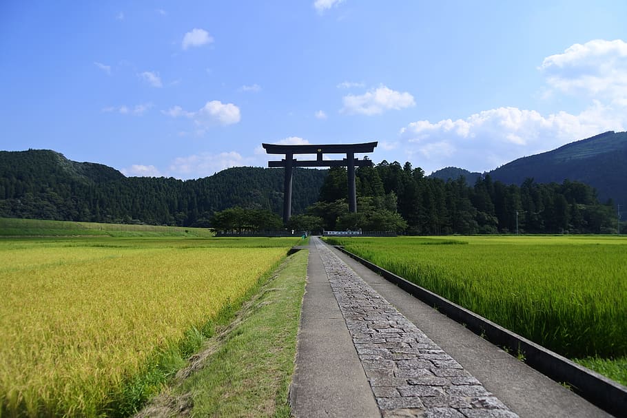 japan, wakayama, shrine, kumano, kumano hongu taisha grand shrine, kumano sanzan, worship, torii, mysterious, autumn