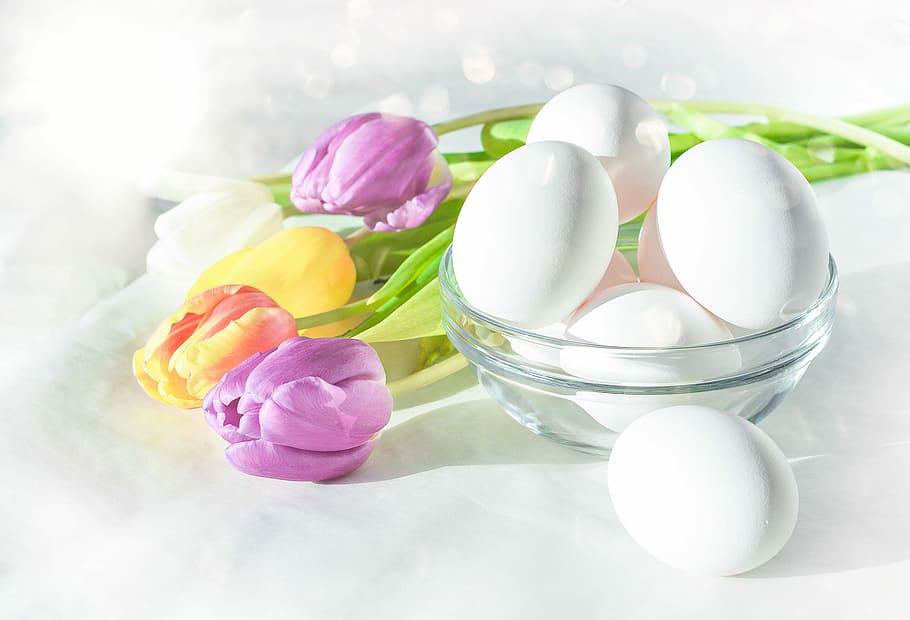 blanco, huevos, claro, recipiente de vidrio, huevo, pascua, flor, escritorio, saludable, color