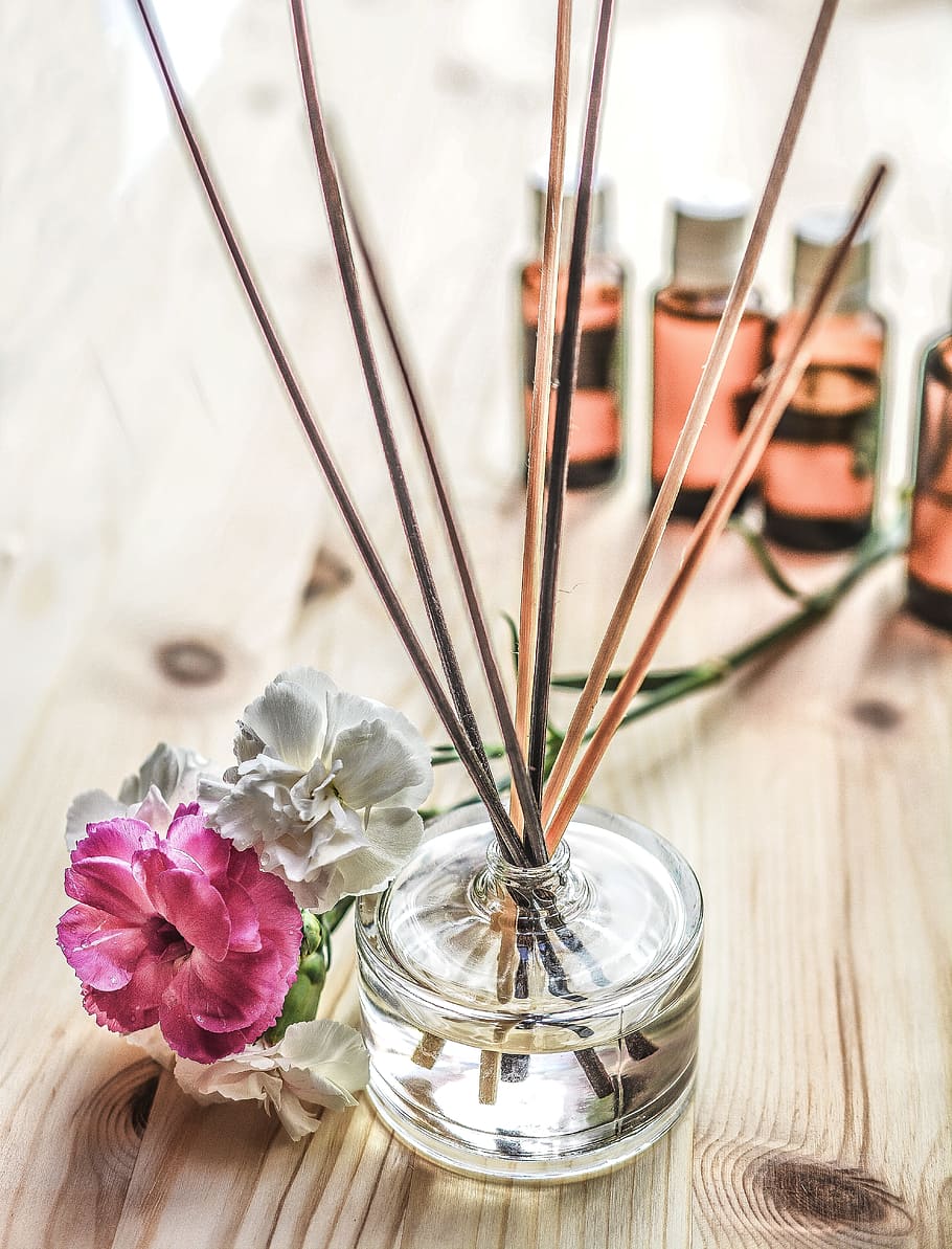 clear, glass vase, brown, decorative, sticks, scent, fragrance, aromatic, aroma, aromatherapy