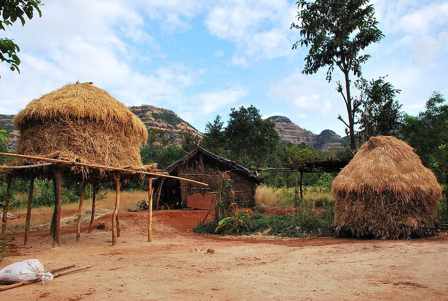 Hut, Lifestyle, Tribal, Rural, Landscape, house, poor, living, straw, young