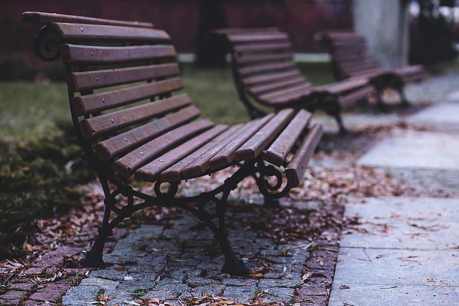 bench, park, sit, leaves, autumn, fall, grass, seat, empty, park bench