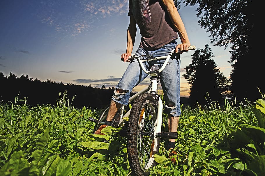 homem, montando, branco, bicicleta bmx, bmx, bicicleta, floresta, ciclo, ação, tarefas