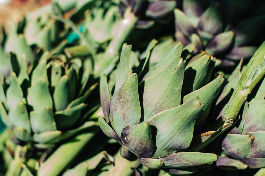 artichoke close up, Artichoke, close up, hijau, Malta, makanan, buah, kesegaran, Warna hijau, Makanan sehat