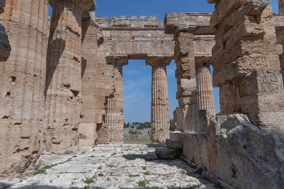 paestum, basilica, greece, glimpse, archaeology, columns, historian, ancient, column, ruin