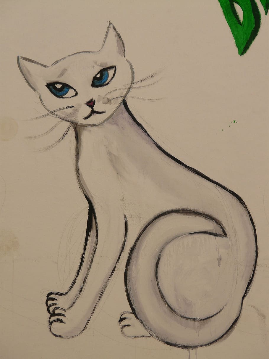 putih, kucing, biru, ilustrasi mata, menggambar, gambar, lukisan, hewan, grafiti, cat