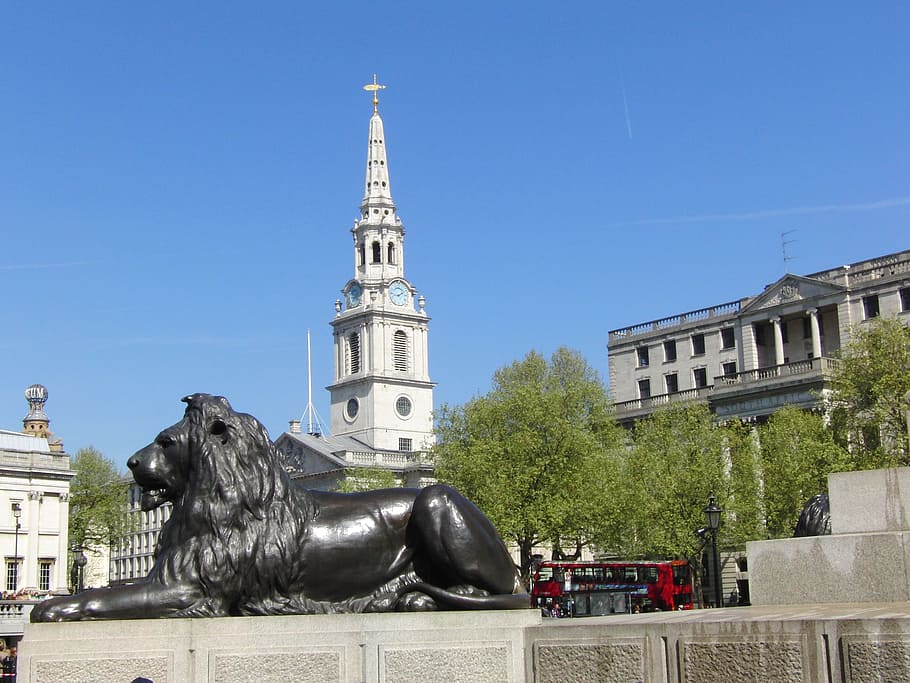 trafalgar square, london, lion, king lion, kingdom, english, united kingdom, british, building exterior, architecture