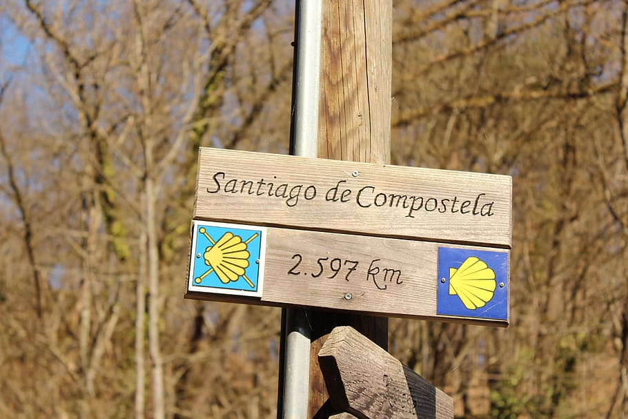 nature, jakobsweg, santiago de compostela, distance, hike, make a pilgrimage, directory, scallop, migratory character, sign