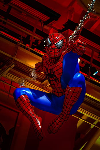 Royalty-free Spiderman photos free download | Pxfuel