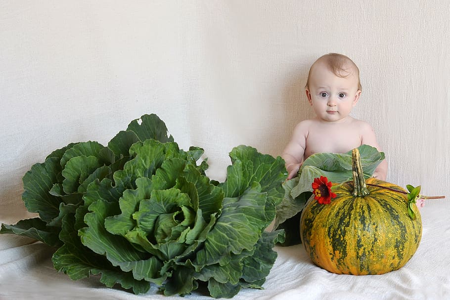 baby, front, cabbage, squash, kid, kids, people, small child, boy, childhood