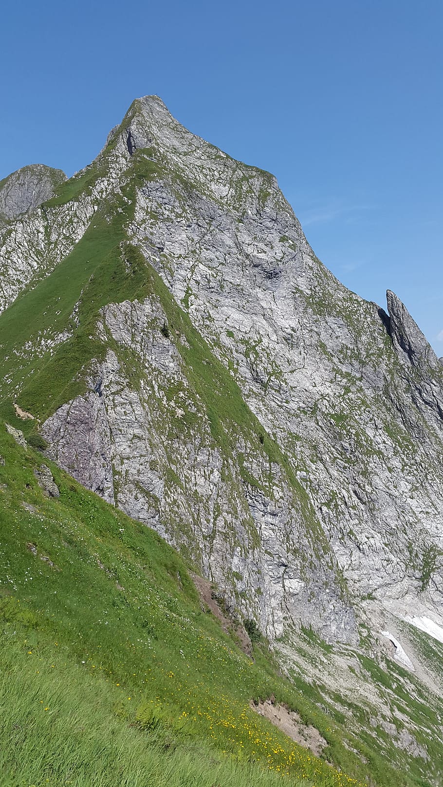 Höfats, Allgäu, Grasberg, Steep, Grass, steep grass, allgäu alps, alpine, landscape, oberstdorf