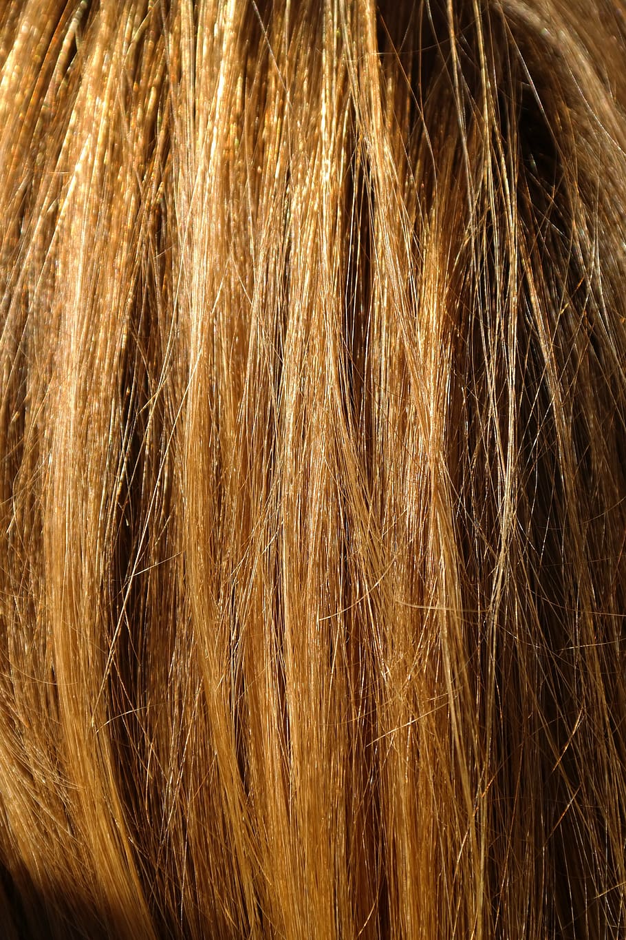 cabello rubio de la persona, cabello, rubio, peinado, liso, mujer, cabeza, moda, mujeres, cabello humano