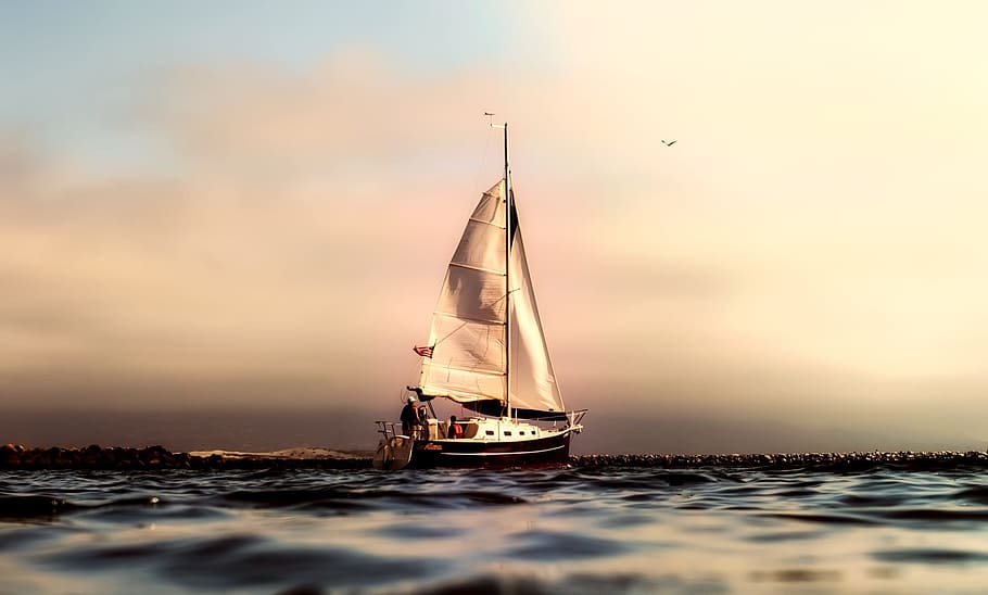 barco blanco de vela, california, panorama, mar, océano, pacífico, velero, barco, navegación, vacaciones