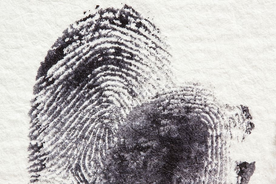 close, shot, finger print, fingerprint, daktylogramm, papillary, fingertip, finger berry, contact, crime