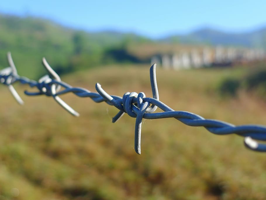 bokeh photography, barbwire, fence, border, wire, security, barrier, danger, sharp, prison