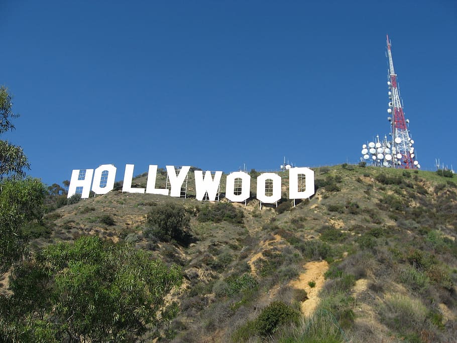 hollywood signage, mountain, hollywood sign, hillside, famous, icon, landmark, hills, historic, tourist