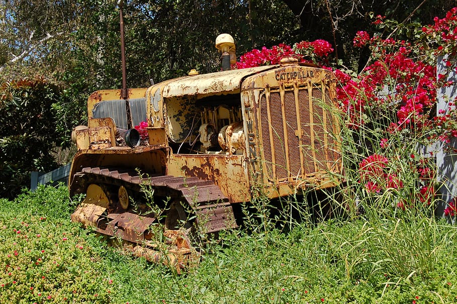 tractor, old, machine, rusty, plant, land, nature, grass, field, day