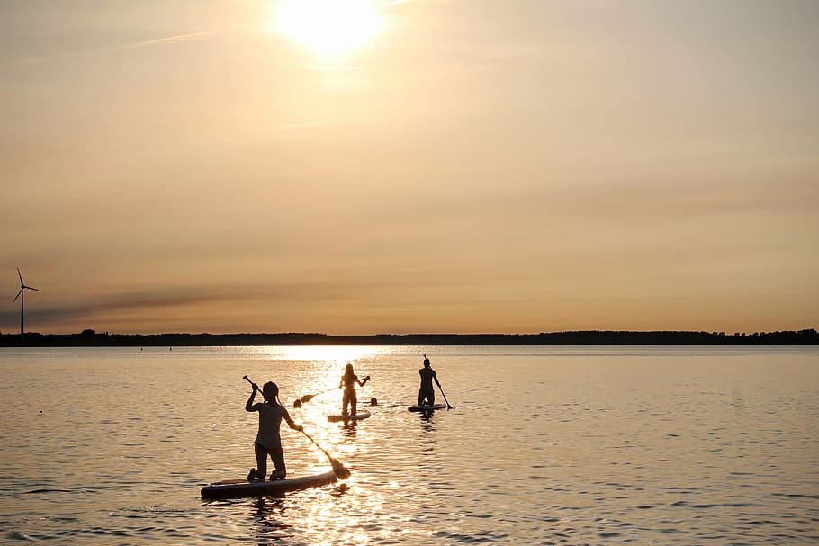 tres, personas, equitación, tabla de paddle, dorado, hora, stand up paddle, puesta de sol, agua, paddle