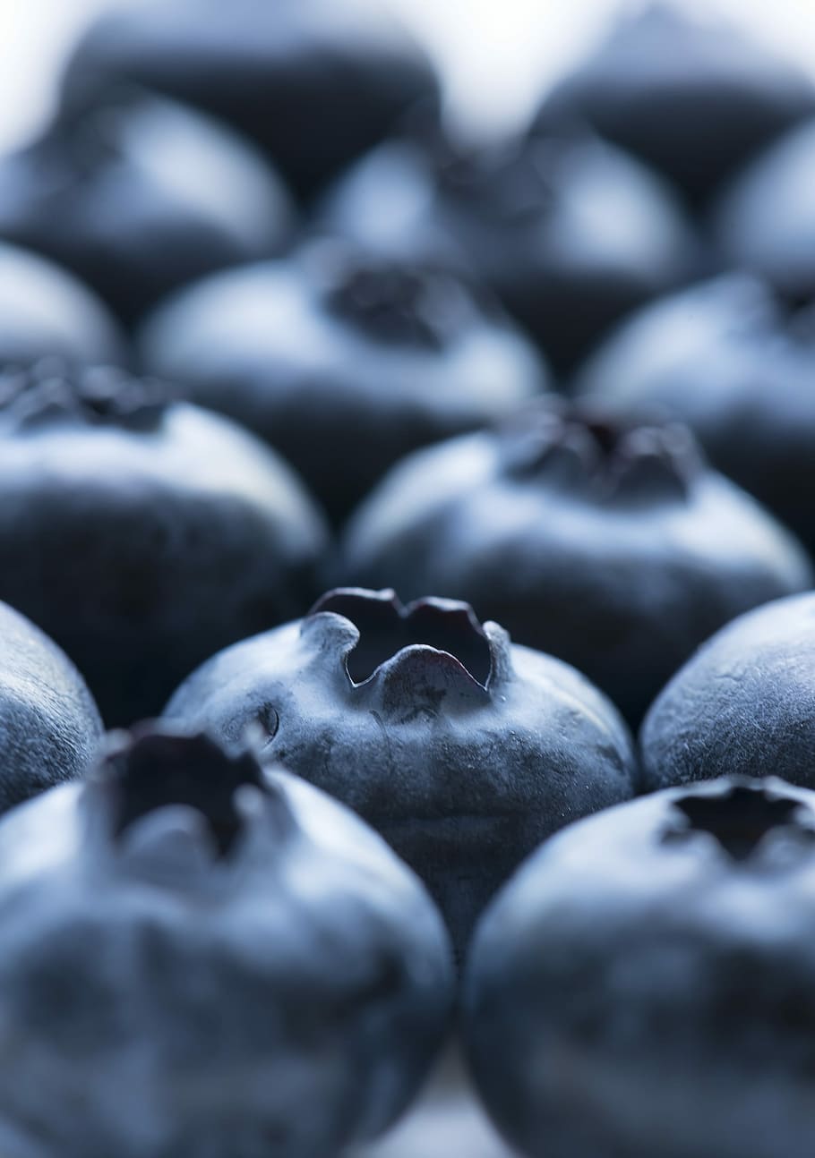 blackberry, selektif, fotografi fokus, buah, blueberry, makanan, closeup, berair, antioksidan, latar belakang