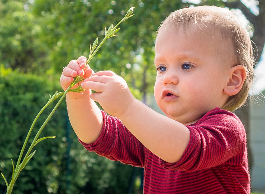 Juguetes educativos de naturaleza para el desarrollo individual: Estimulando la curiosidad y la autonomía