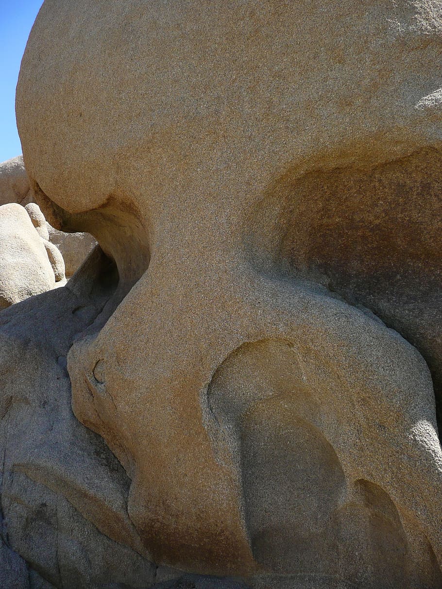 Skull, Nature, Landscape, rocky, joshua tree national park, california, usa, desert, hot, dry
