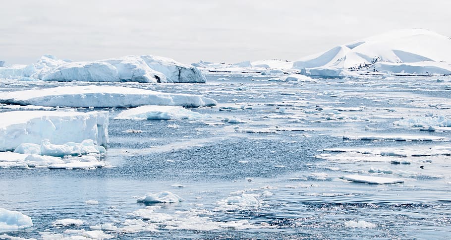 photo of iceberg, antarctica, ice, caps, mountains, penguin, ice bergs, southern hemisphere, snow, cold