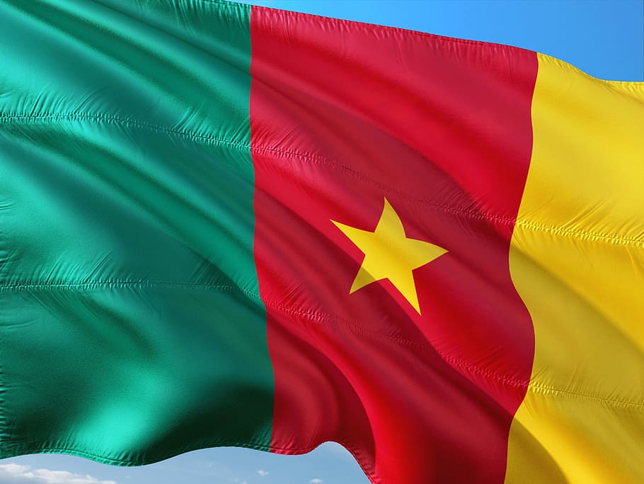 international, flag, cameroon, patriotism, red, textile, multi colored, leaf, environment, green color