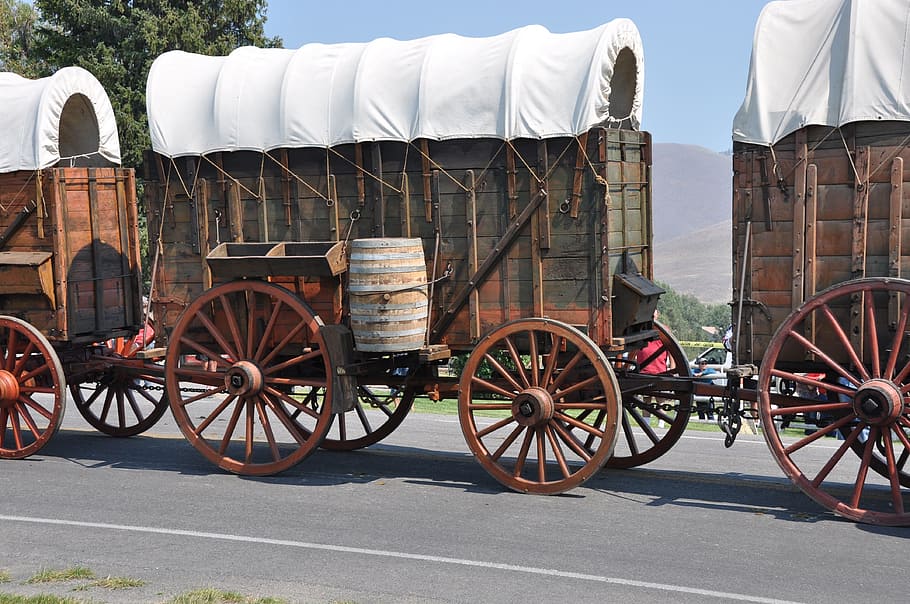 wagon, wheel, rusty, transportation, transport, wooden, vintage, carriage, west, rural