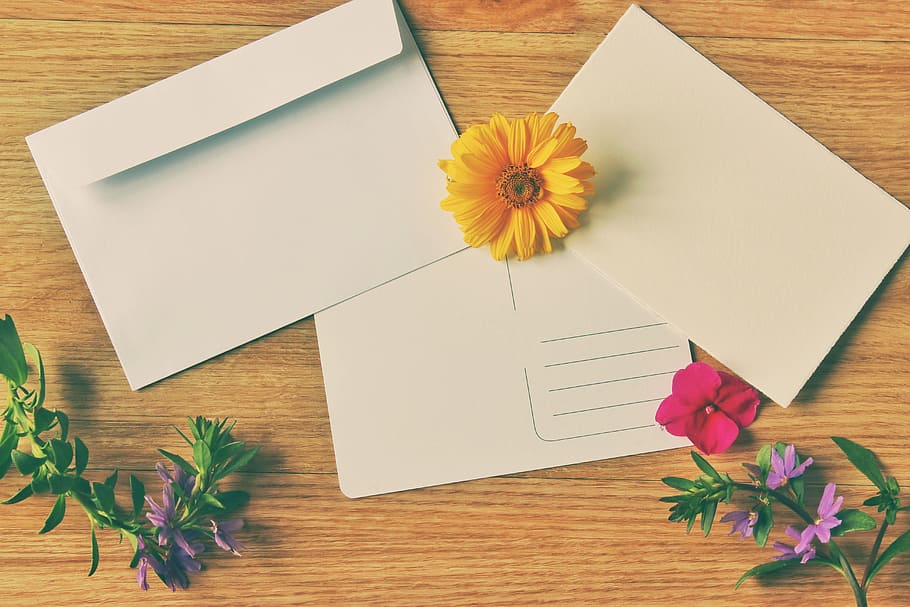 yellow, petaled flower, white, paper, postcard, envelope, vintage, greeting card, greeting, map