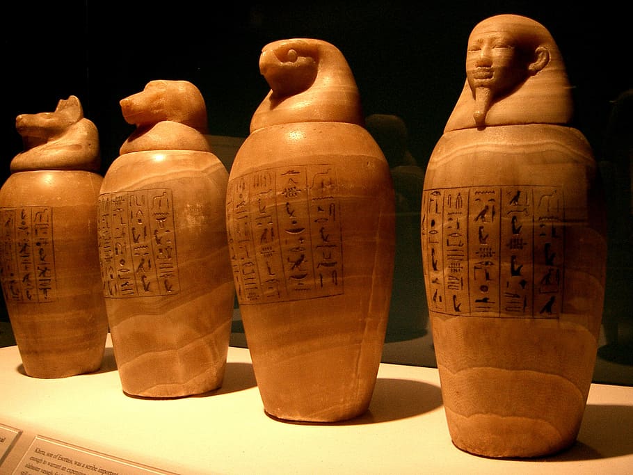 brown ceramic vases, canopic jars, egypt, egyptian, pharaoh, mummy, embalm, museum, exhibit, horus