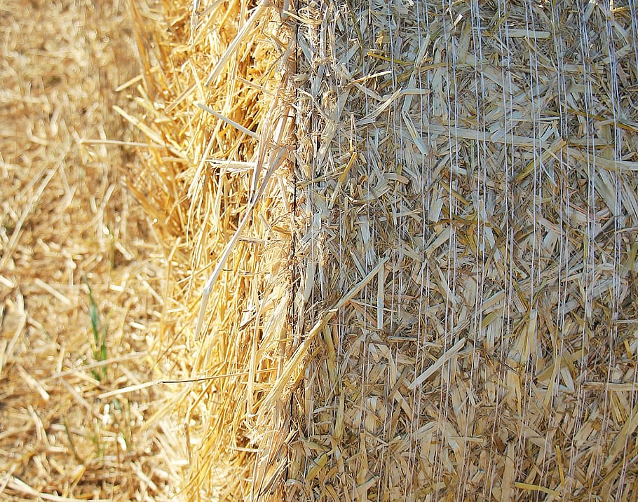 straw role, harvest, straw, agriculture, round bales, field, stubble, cereals, harvested, summer
