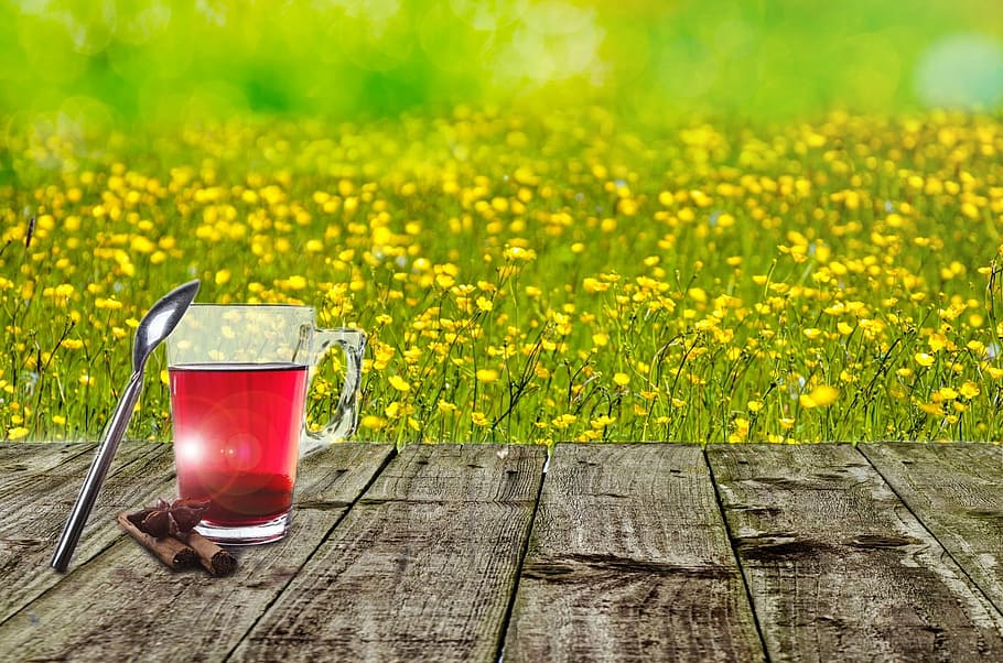 merah, cair, diisi, ilustrasi mug, musim semi, latar belakang, bunga, kuning, bidang, padang rumput