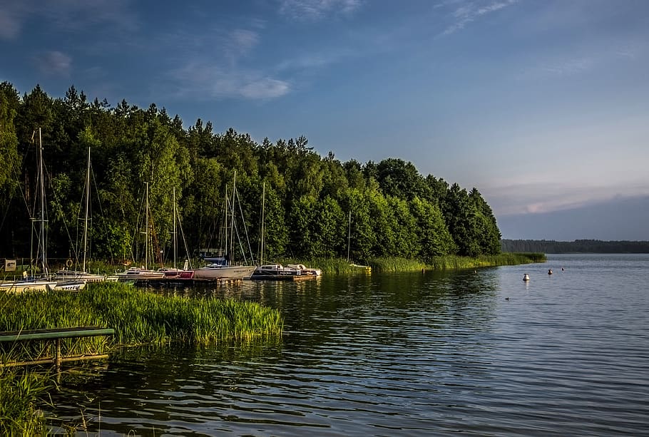 lake, view, landscape, nature, water, calm, outdoor, peaceful, summer, poland