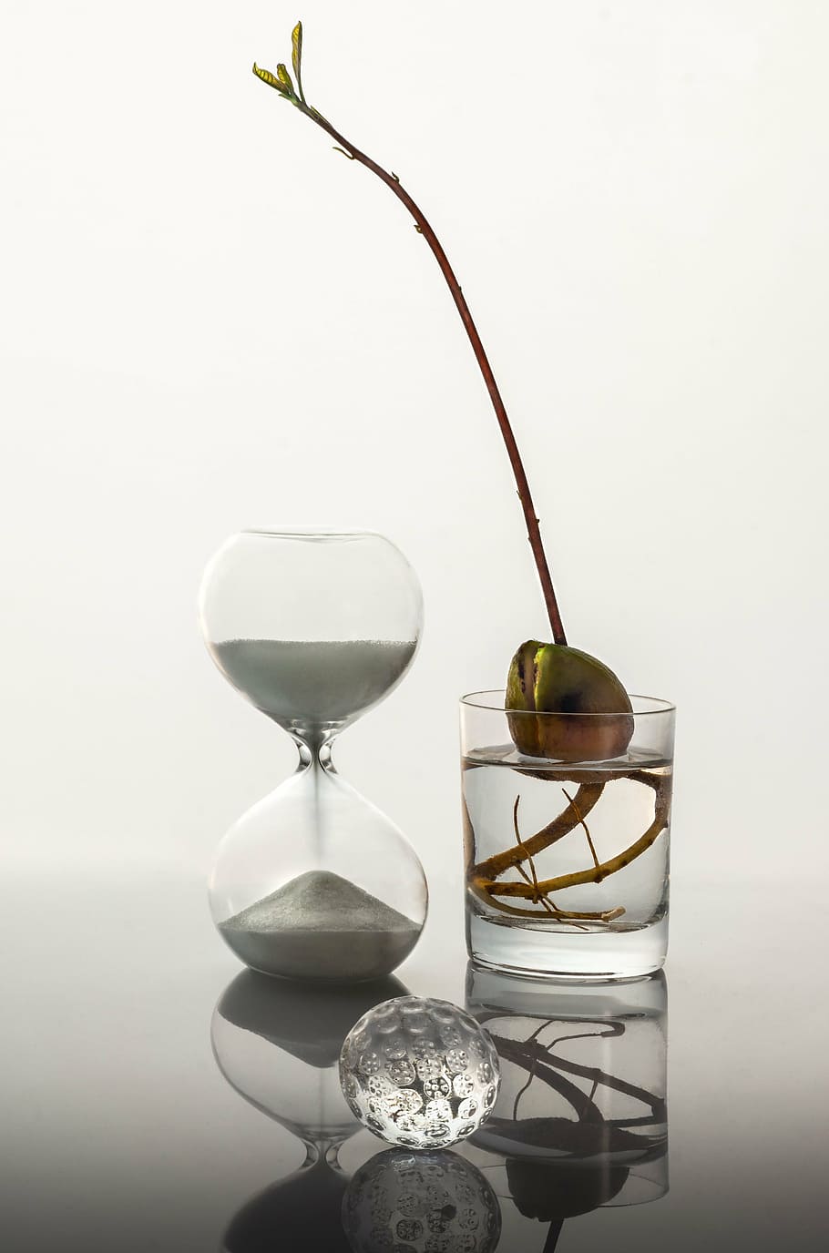 time, glass, sprout, white, sand, clock, studio shot, wineglass, indoors, white background